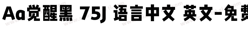 Aa觉醒黑 75J 语言中文 英文字体转换